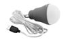 Picture of EPSILON BULB